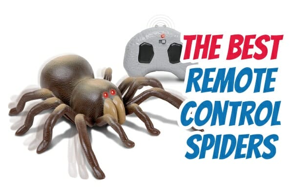 Best Remote Control Spider